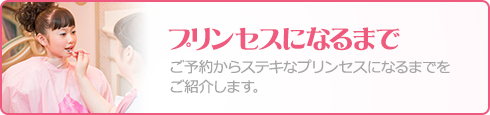 プリンセスになるまで