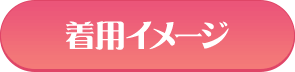 着用イメージ