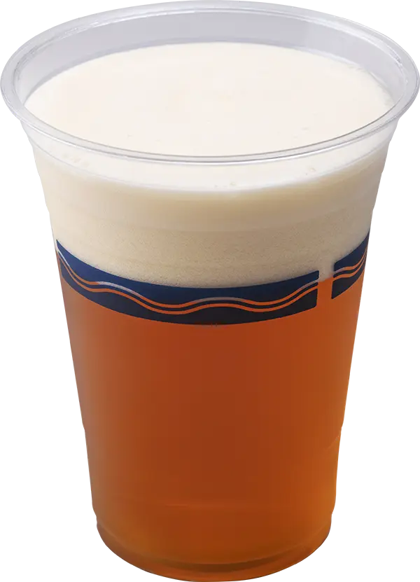 ブルックリンラガー （アンバーラガー）