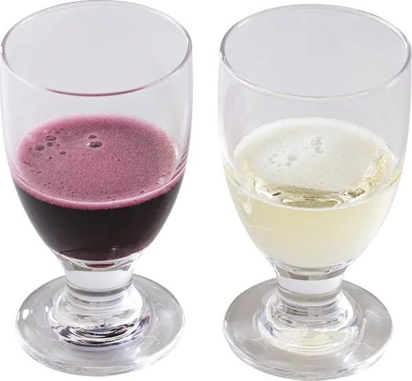 スパークリング ワインセット （イタリア）