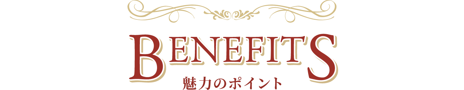 魅力のポイント