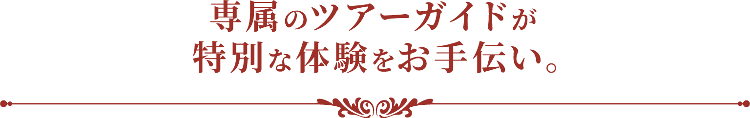 専属のツアーガイドが特別な体験をお手伝い。