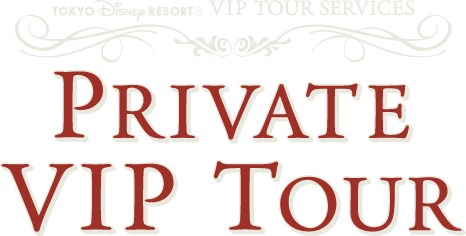 PRIVATE VIP TOUR