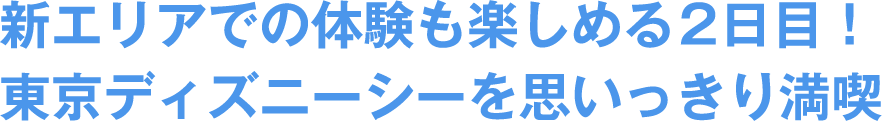 新エリアでの体験も楽しめる2日目!東京ディズニーシーを思いっきり満喫
