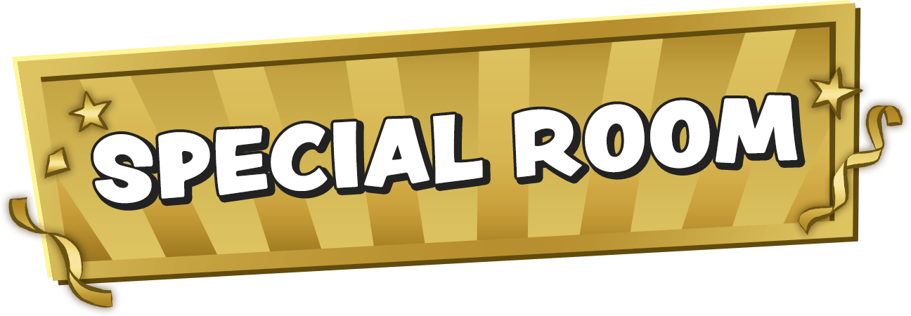 SPECIAL ROOM