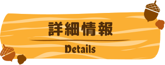 詳細情報