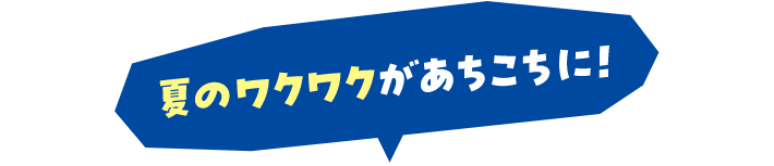 夏のワクワクがあちこちに！