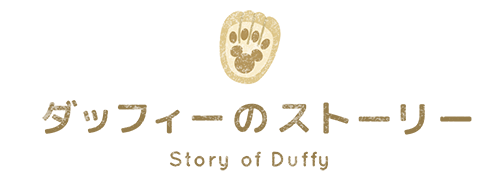 ダッフィー Duffy And Friends 東京ディズニーリゾート
