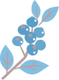 青いフルーツ2