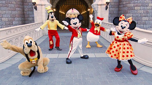 ファンダフル ディズニー 東京ディズニーリゾート