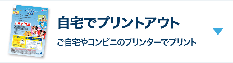 公式 ディズニーeチケット 東京ディズニーリゾート