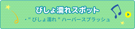 びしょ濡れスポット
